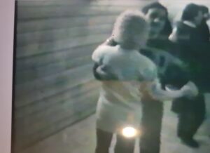 Halucynacje Ai Halucynacje Ai