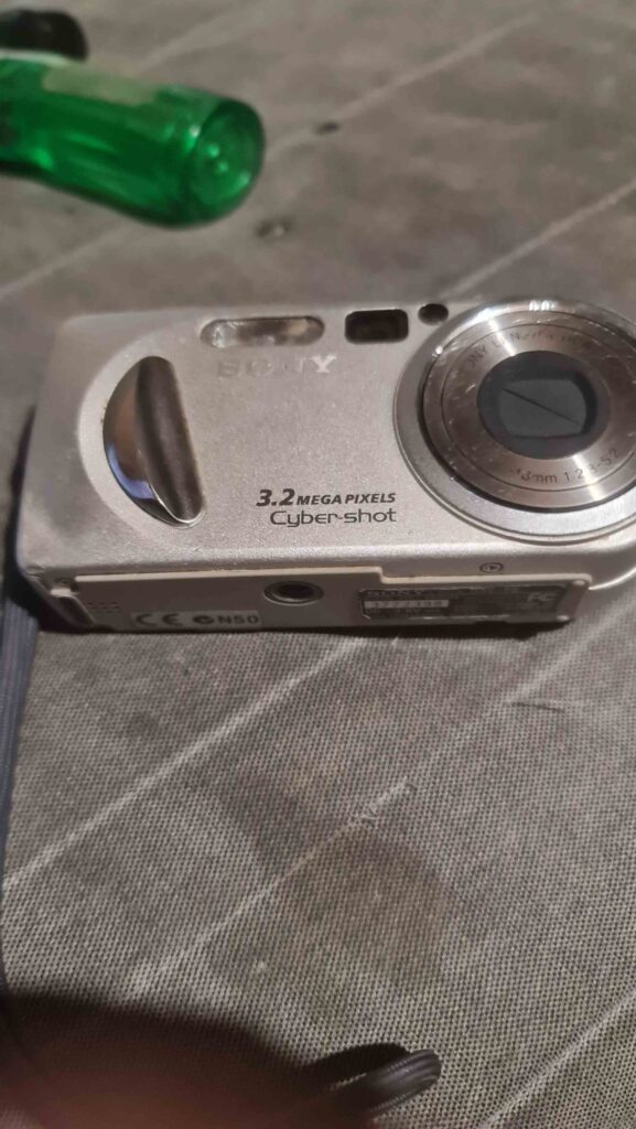 Sony DSC p8 mały wilk Sony DSC p8 mały wilk