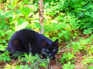 Prawdziwe zdjęcia bez Ai z Duszą Zjęcia glish Zdjęcia z plastyką