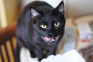 Prawdziwe zdjęcia bez Ai z Duszą Zjęcia glish Zdjęcia z plastyką