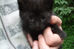 Prawdziwe zdjęcia bez Ai z Duszą Zjęcia glish Zdjęcia z plastyką