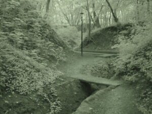 Prawdziwe zdjęcia bez Ai z Duszą Zjęcia glish Zdjęcia z plastyką