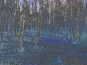 Prawdziwe zdjęcia bez Ai z Duszą Zjęcia glish Zdjęcia z plastyką