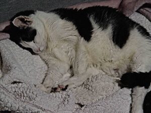 Prawdziwe zdjęcia bez Ai z Duszą Zjęcia glish Zdjęcia z plastyką