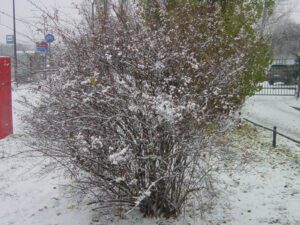 Prawdziwe zdjęcia bez Ai z Duszą Zjęcia glish Zdjęcia z plastyką